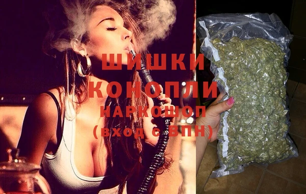индика Белокуриха