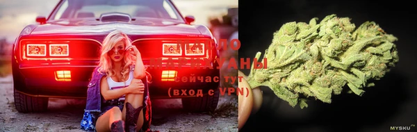 a pvp Богданович