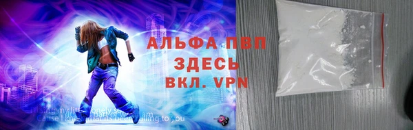 индика Белокуриха
