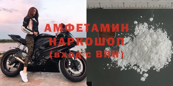 индика Белокуриха
