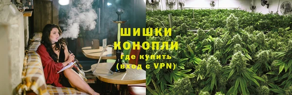 индика Белокуриха