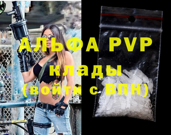 крисы Сатка