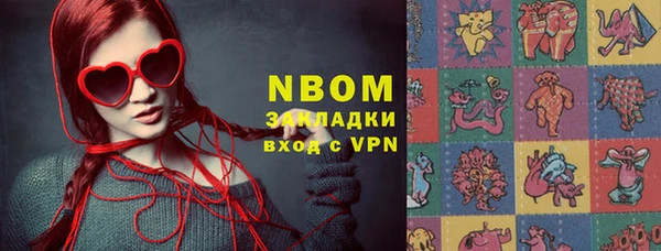 индика Белокуриха