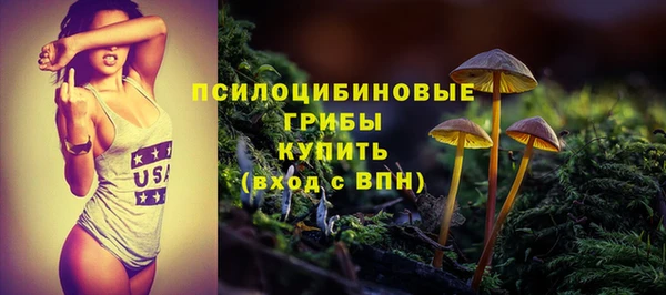 стафф Богородицк
