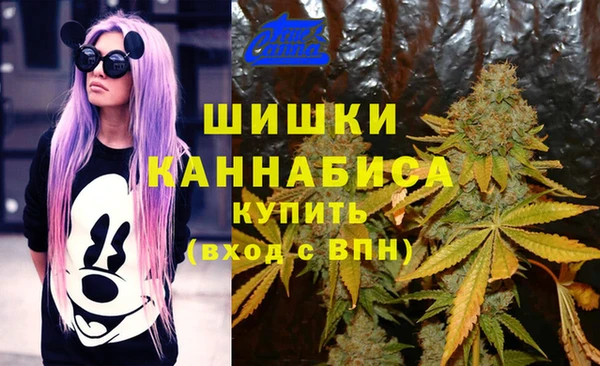 индика Белокуриха